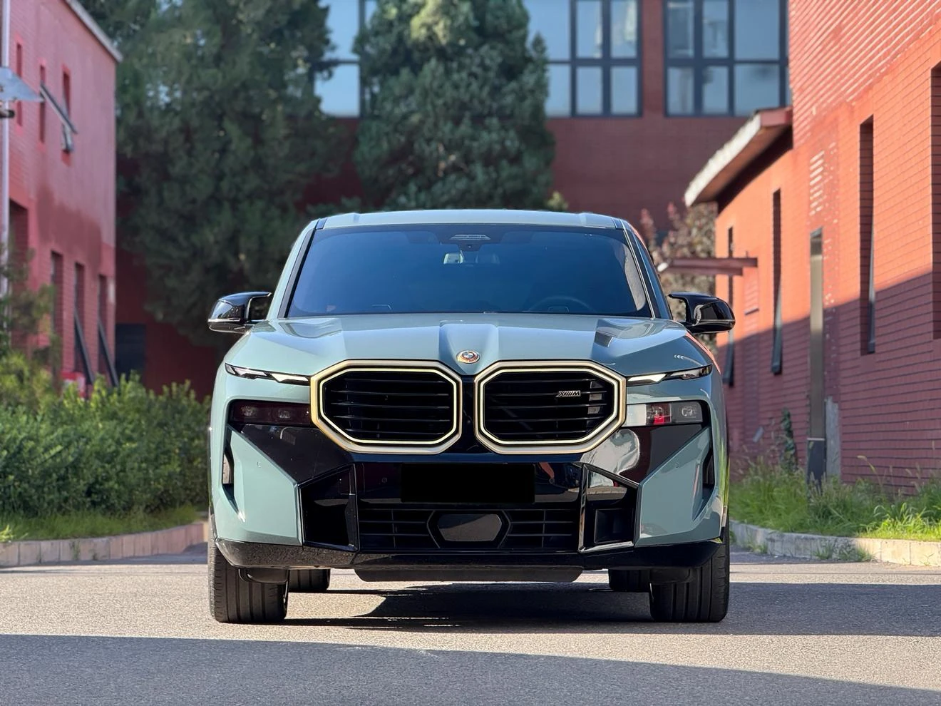 BMW XM 4.4T Standard - exterior