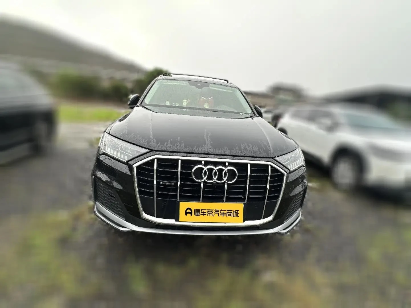 Audi Q7 45 TFSI Sport Trim - exterior