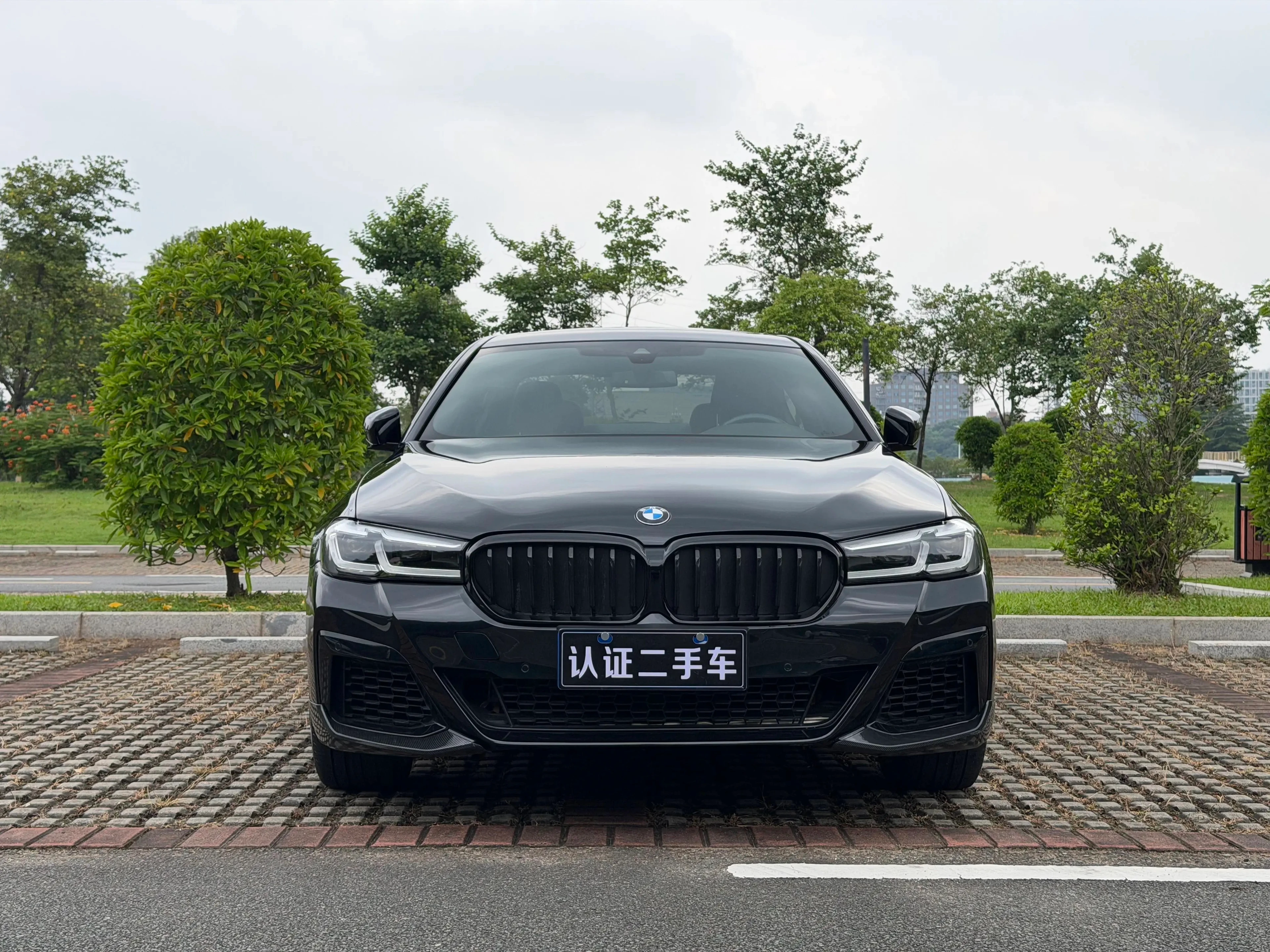 BMW 5 Series 530Li Leading Edition - exterior