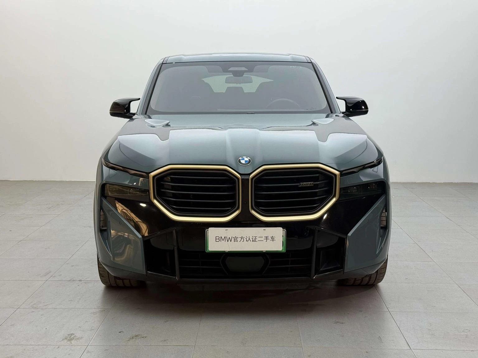 BMW XM 4.4T Standard Version