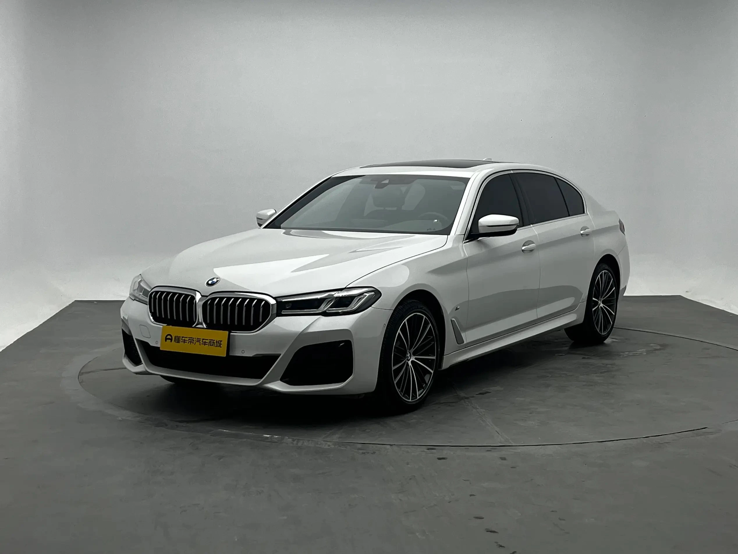 BMW 5 Series 530Li Leading