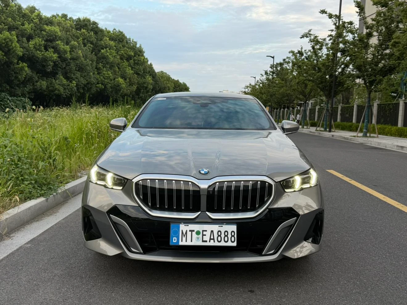 BMW 5 Series 530Li Leading M Sport Package - exterior