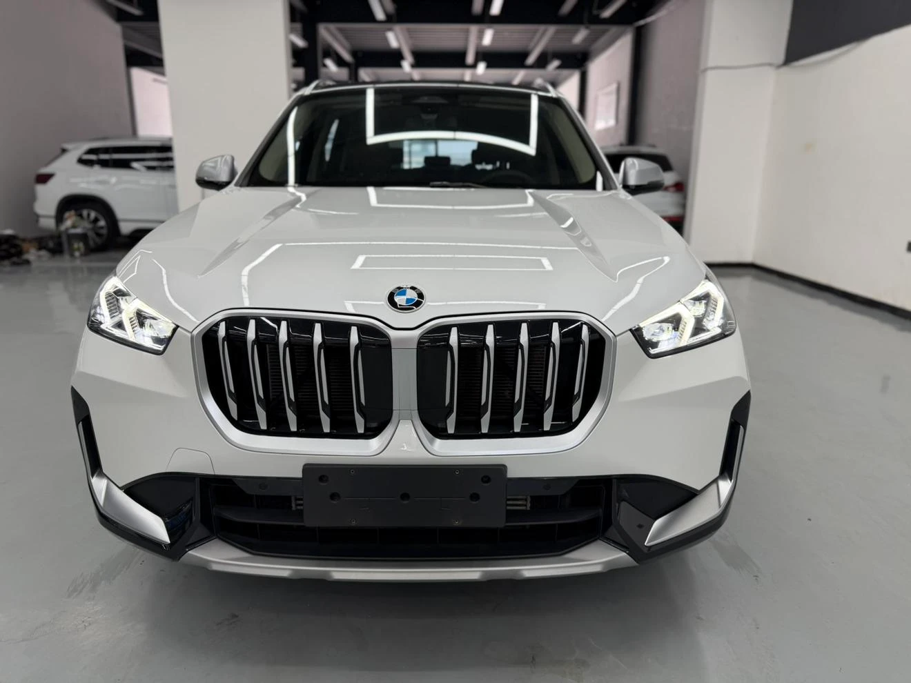 BMW X1 sDrive20Li X Design Package - exterior
