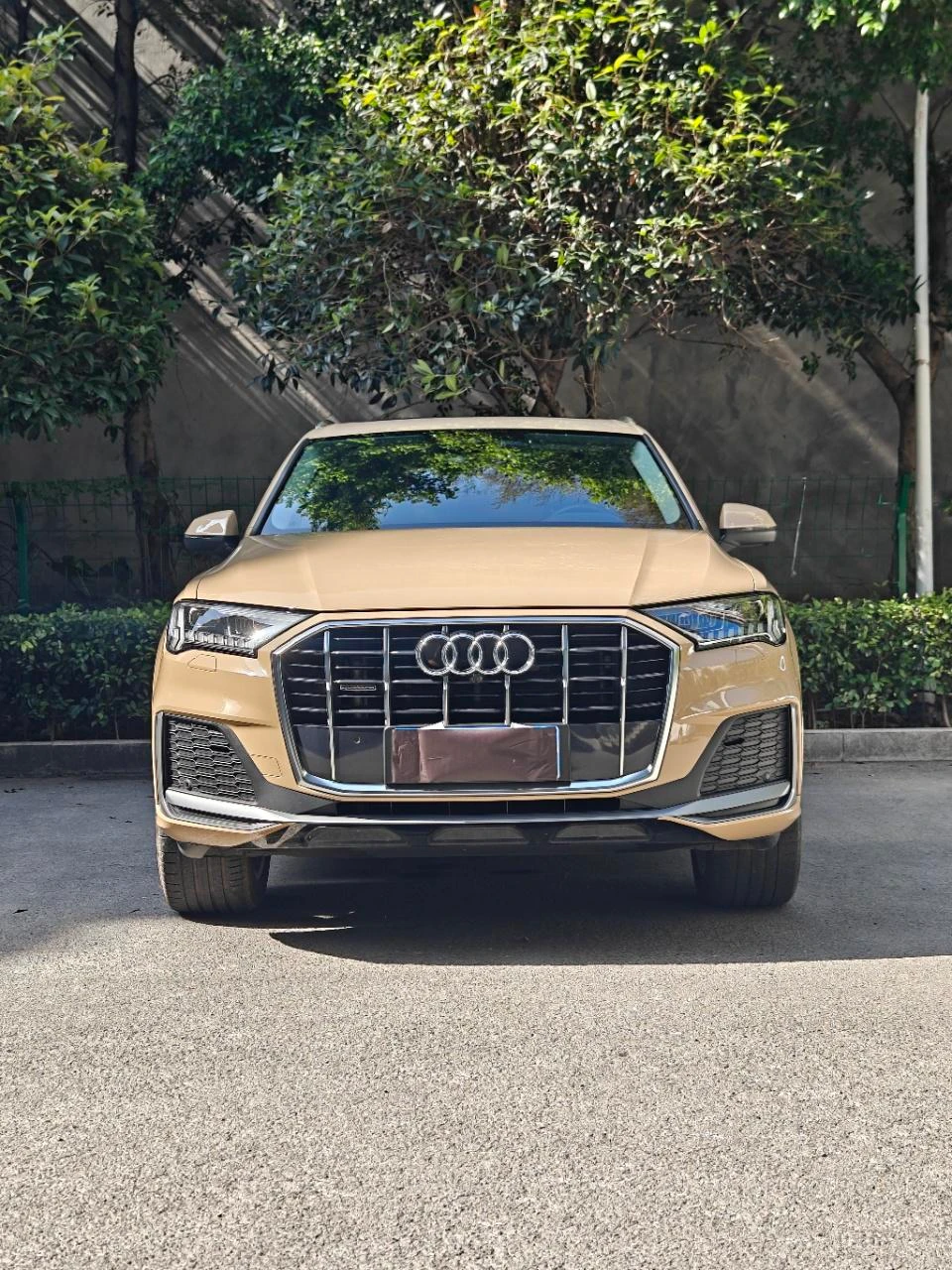 Audi Q7 45 TFSI Quattro S line Sport - exterior