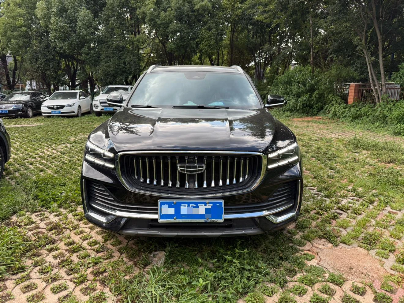 Geely Xingyue L 2.0TD High-Power Automatic Two-Wheel Drive Skyline Edition - exterior