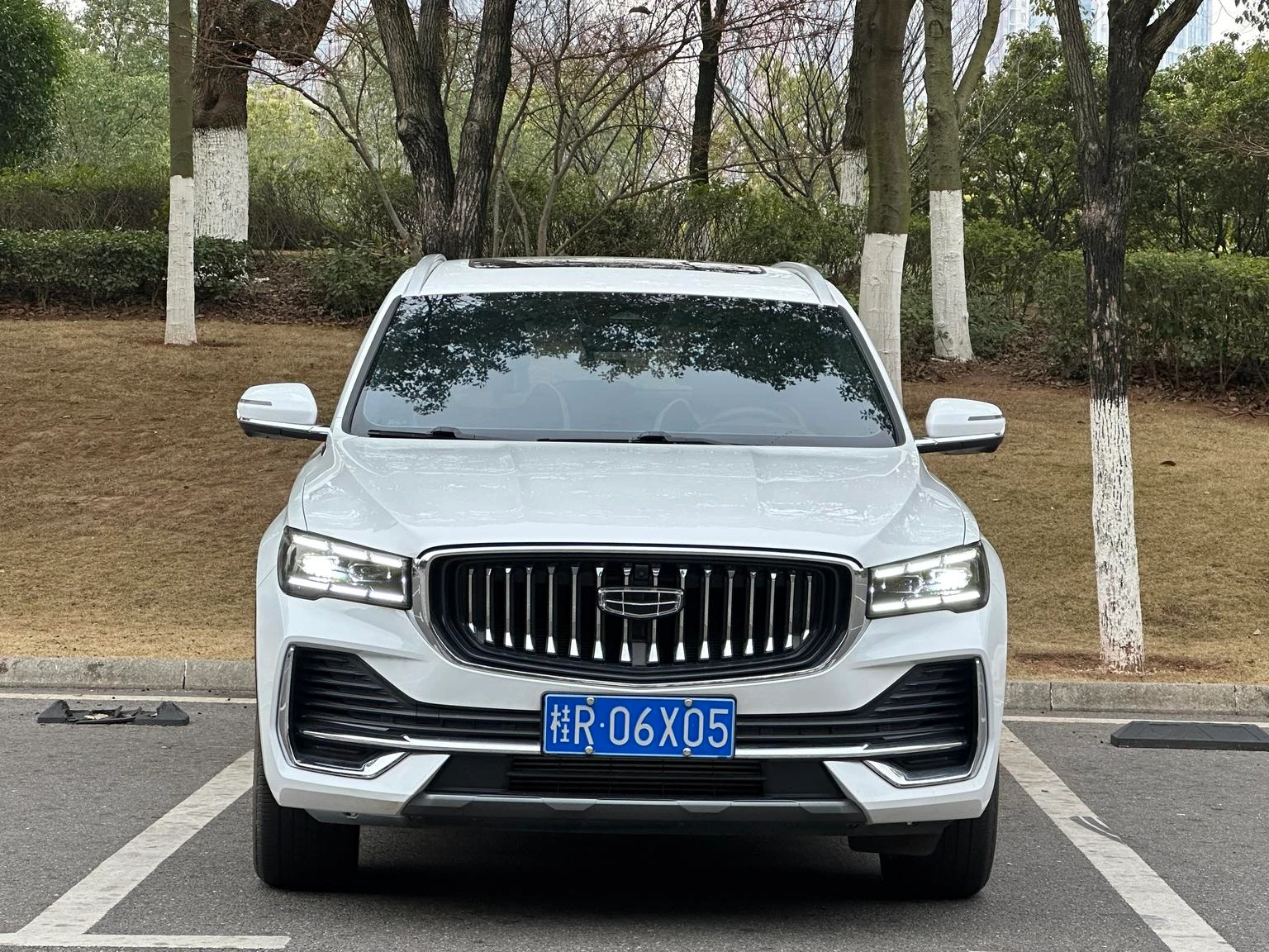Geely L 2.0TD DCT EVO 2WD Premium - exterior