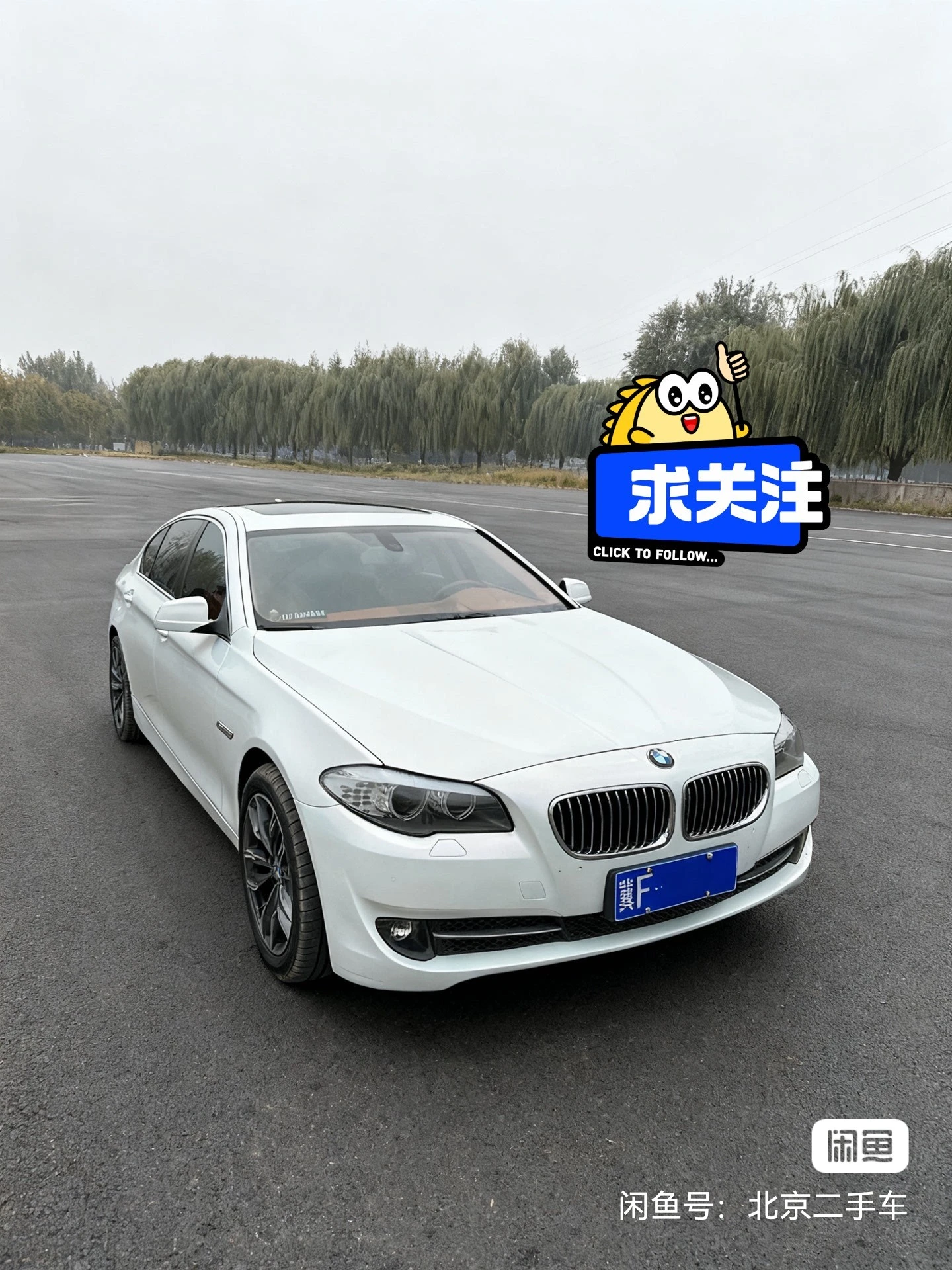 BMW 525Li - engine