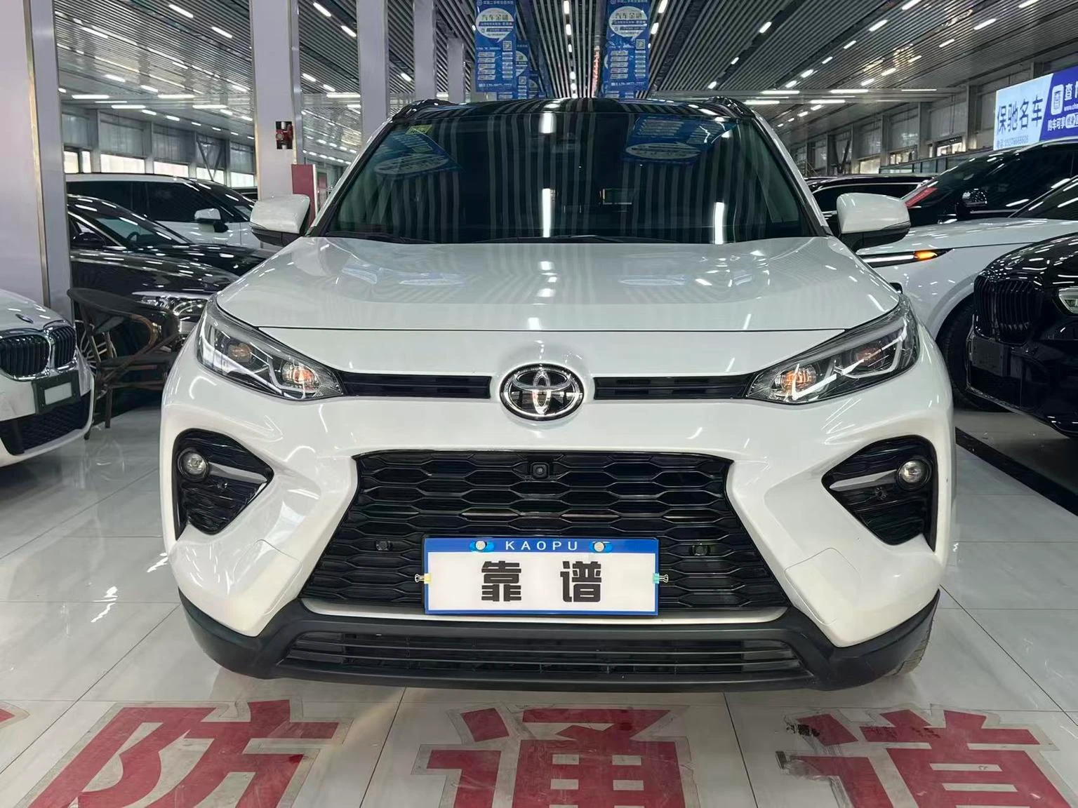 Toyota Wildlander 2.0L 2WD Luxury Plus - exterior