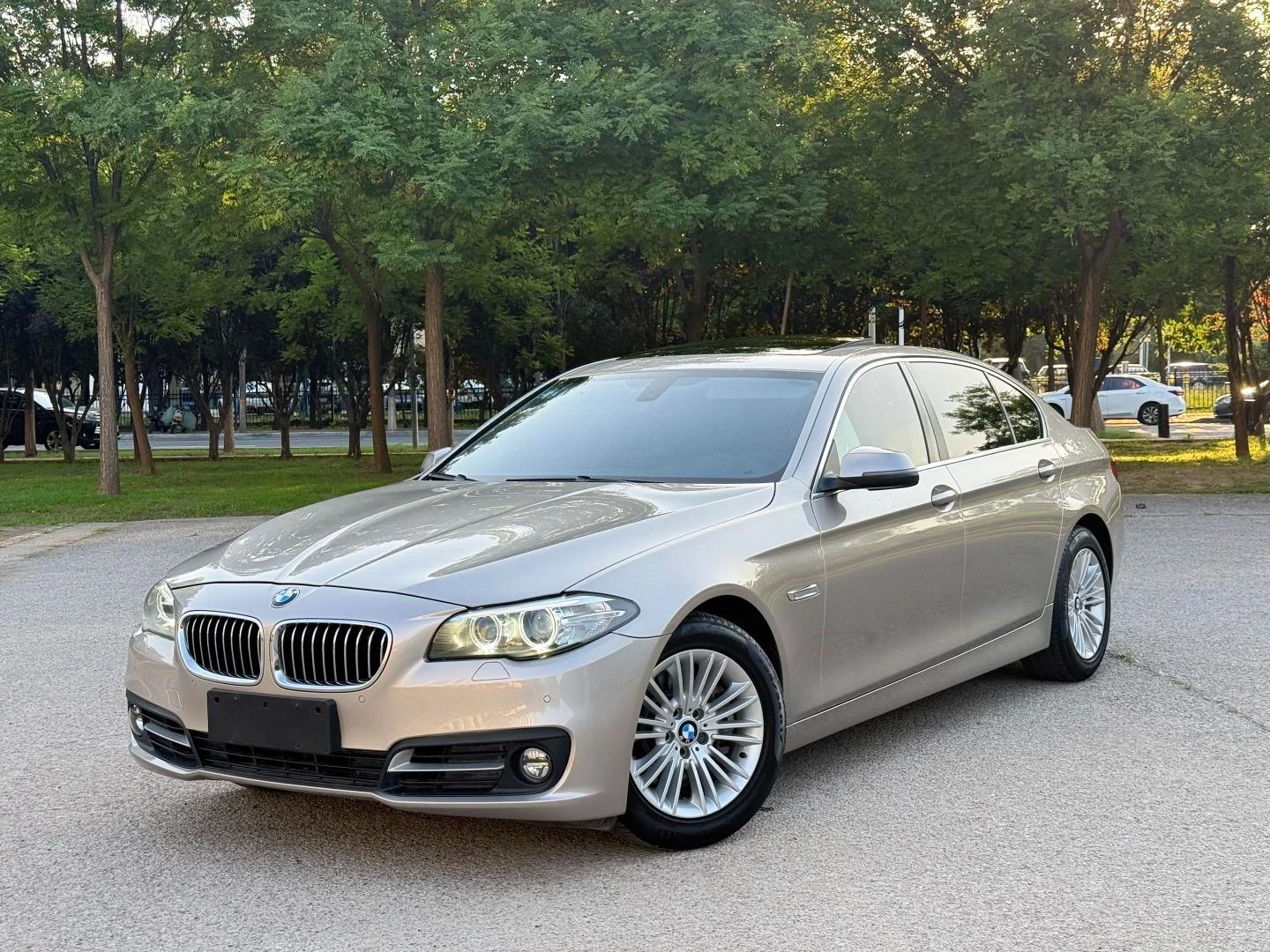 BMW 5 Series 525Li Leading Model - exterior