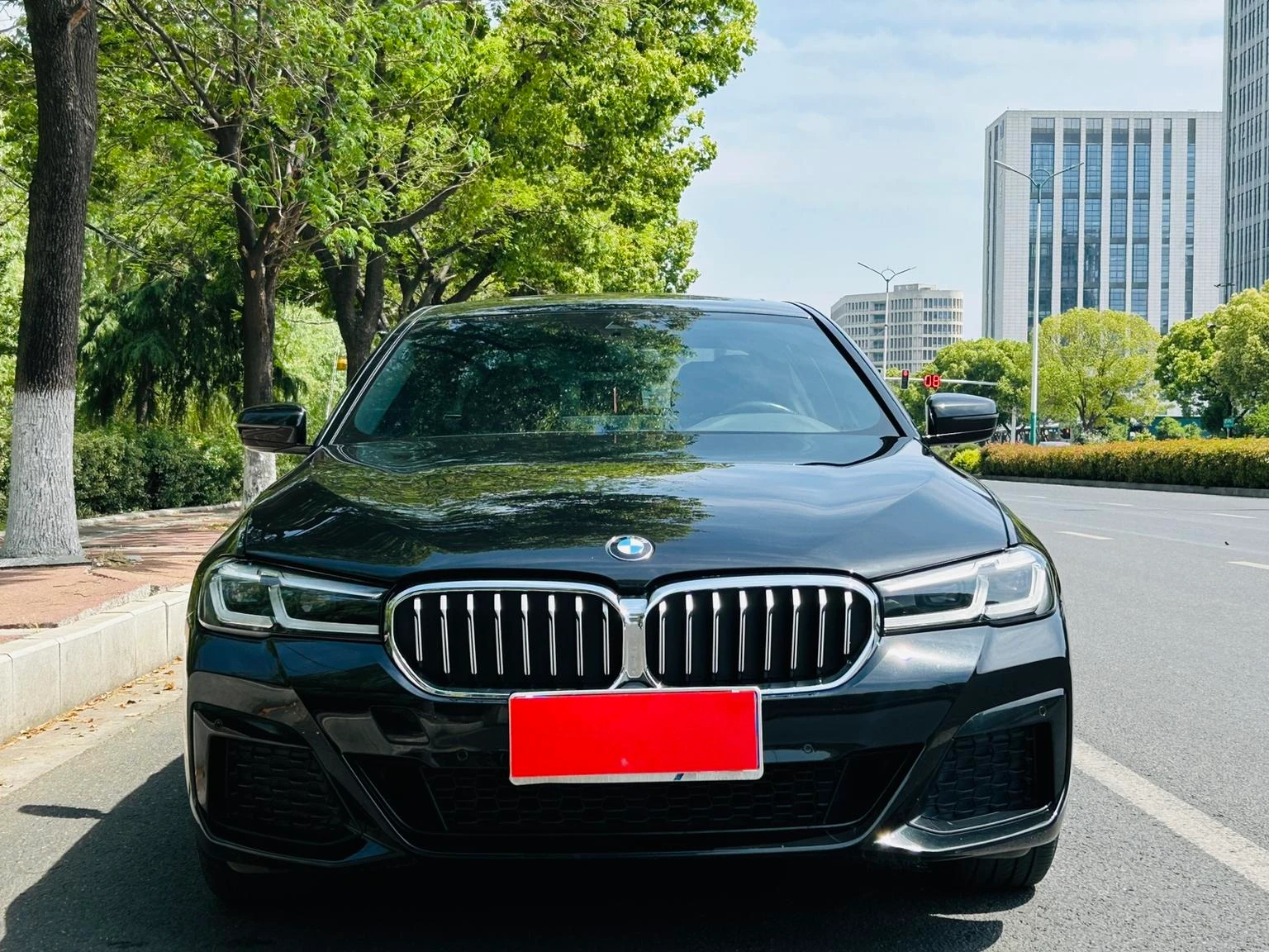 BMW 5 Series 530Li M Sport - exterior
