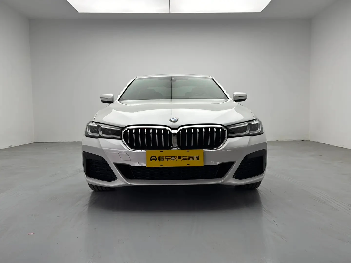 BMW 5 Series 530Li Leading - exterior