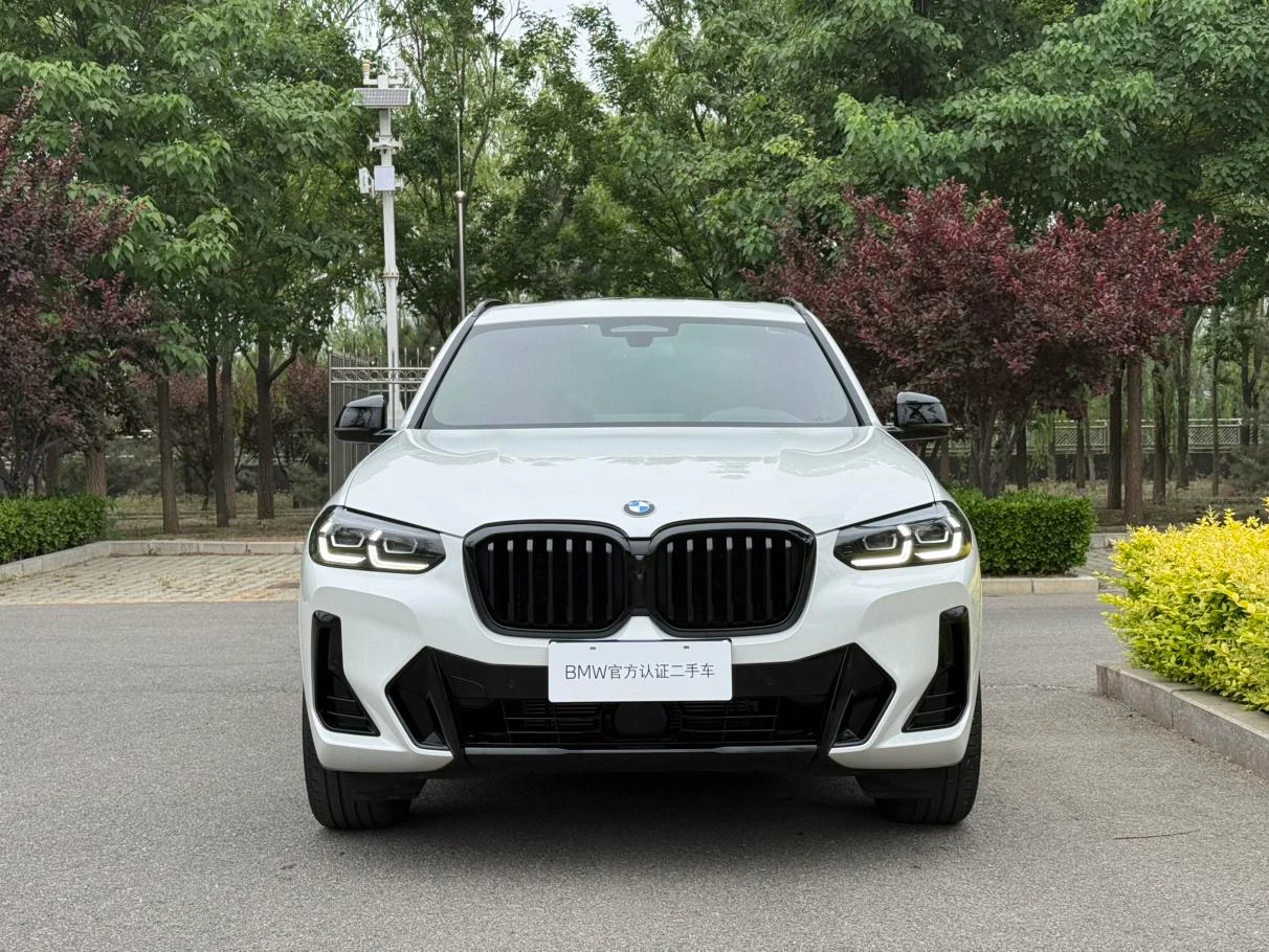 BMW X3 xDrive30i Luxury M Shadowline Package