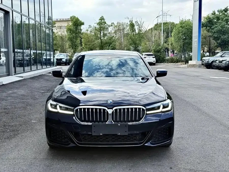BMW 5 Series 530Li Luxury - exterior