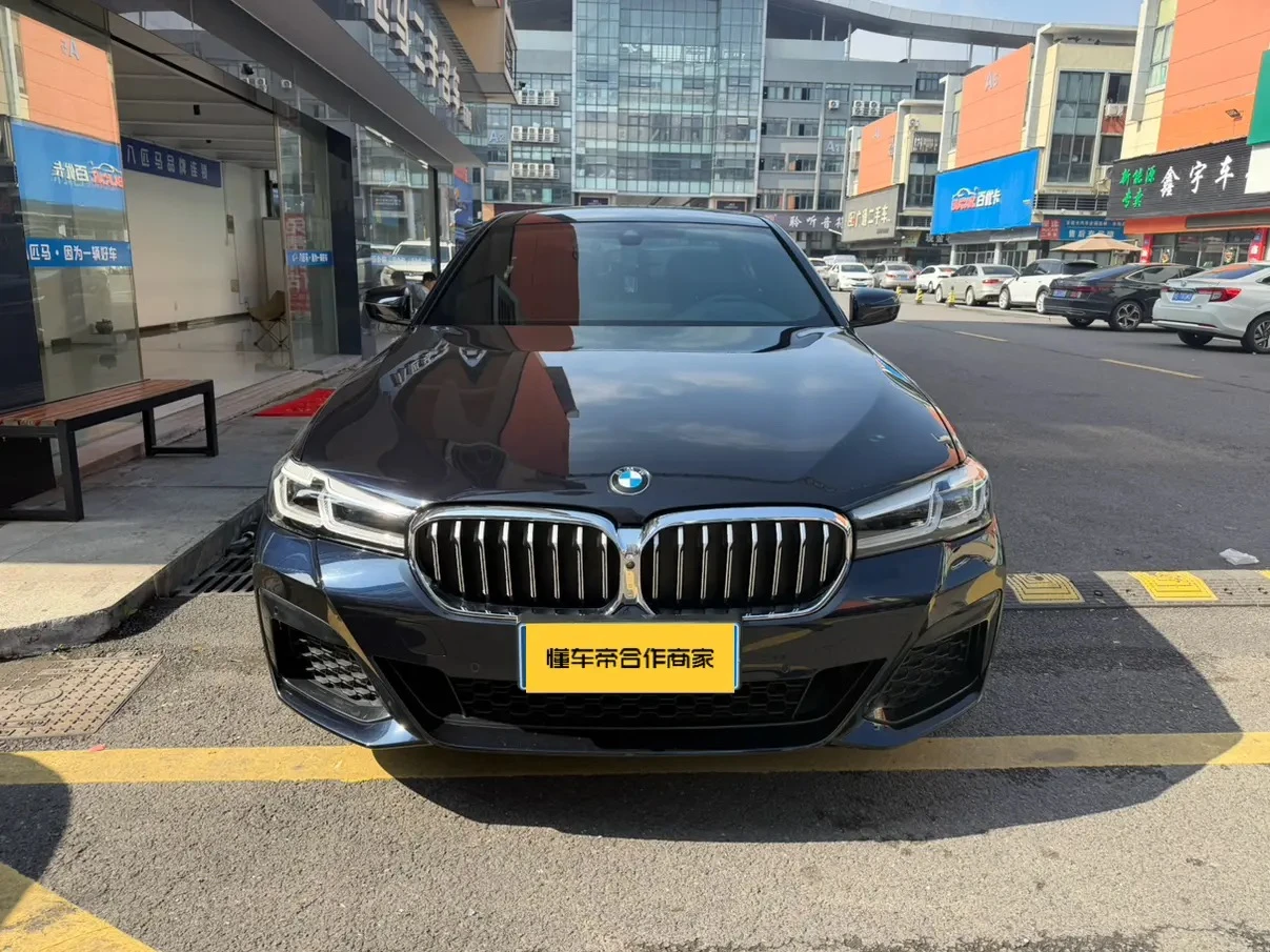 BMW 5 Series 530Li Luxury - exterior