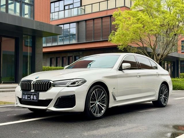 BMW 5 Series 530Li Leading
