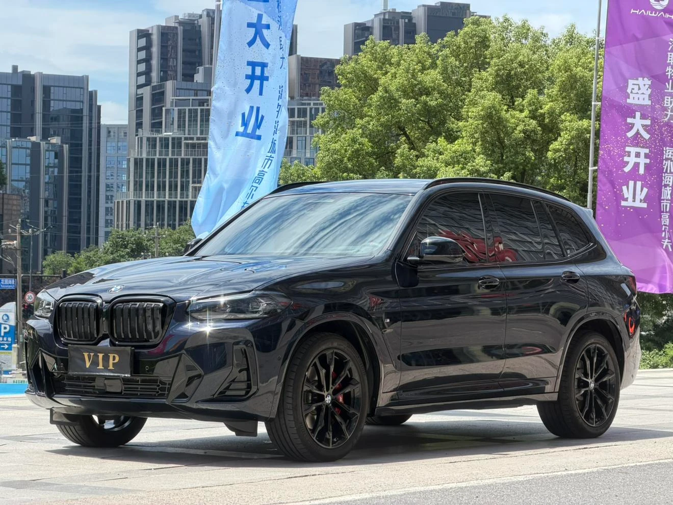 BMW X3 xDrive30i Luxury M Night Package