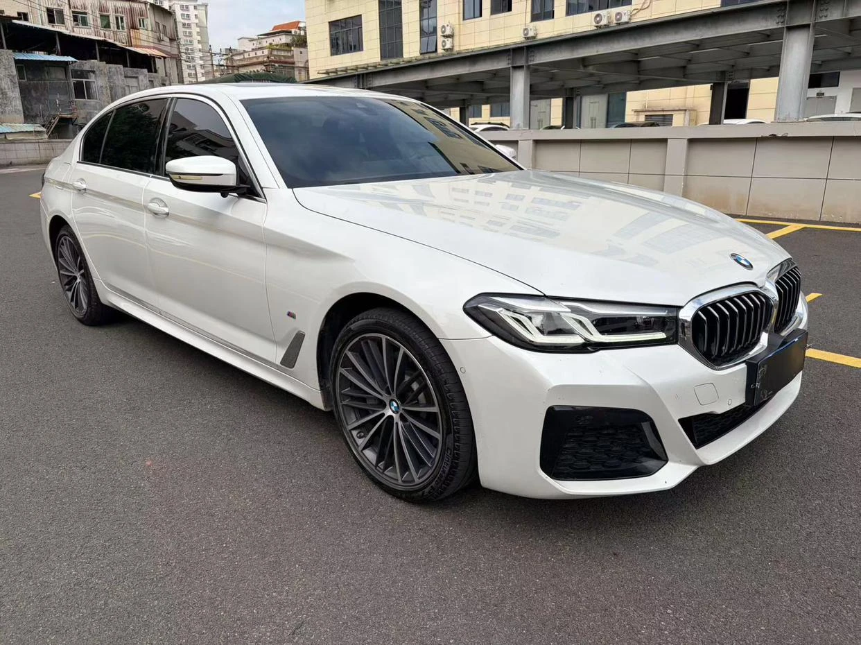 BMW 5 Series 530Li Leading M Sport Package - exterior
