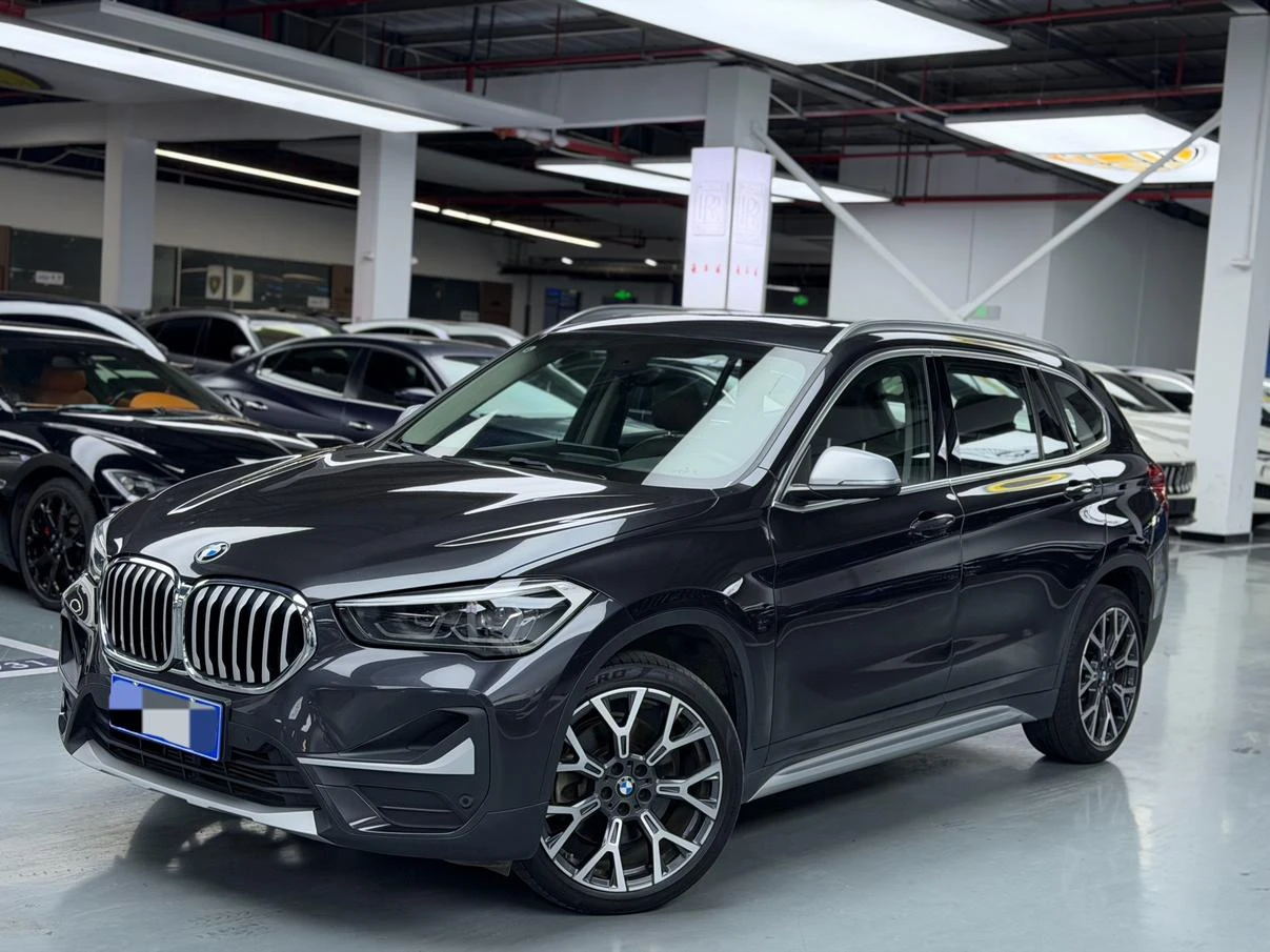 BMW X1 xDrive25Li Luxury - exterior