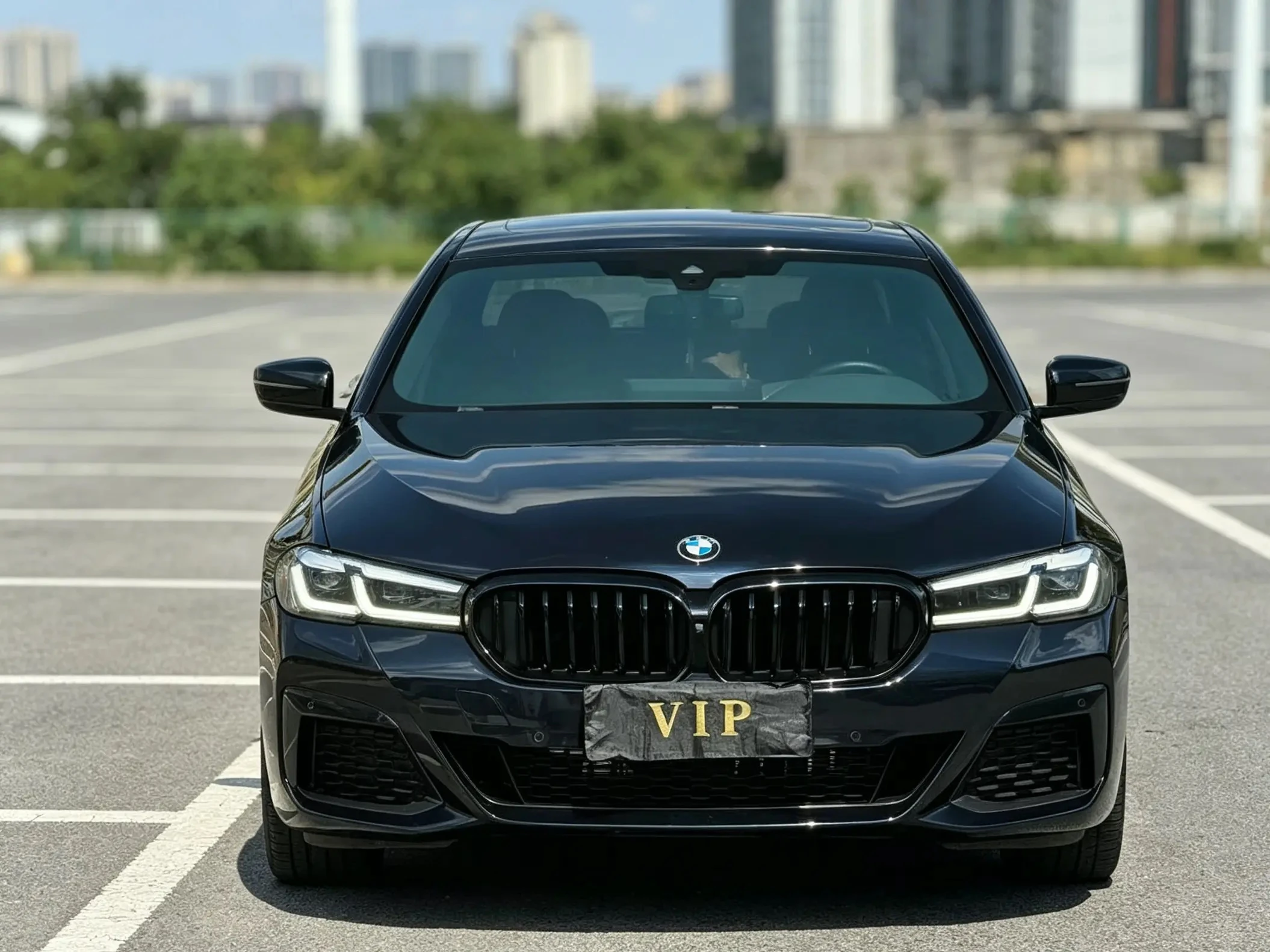 BMW 5 Series 530Li Luxury - exterior