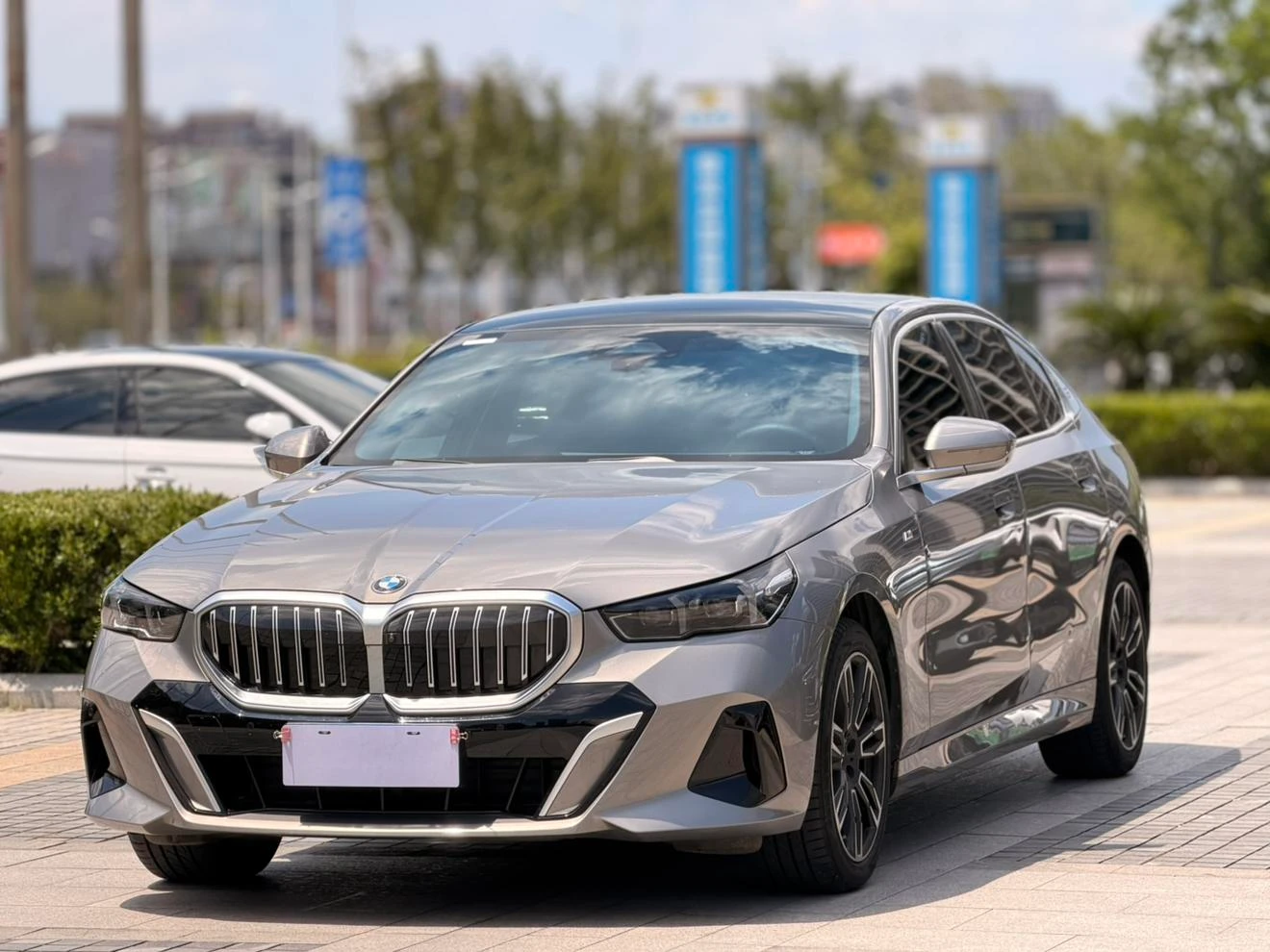 BMW 5 Series 530Li Leading M Sport Package