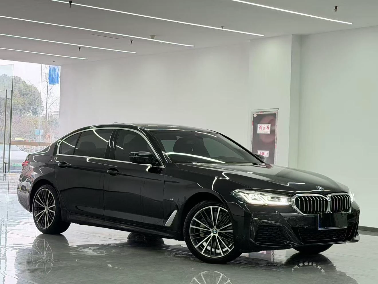 BMW 5 Series 530Li xDrive M Sport Package - exterior