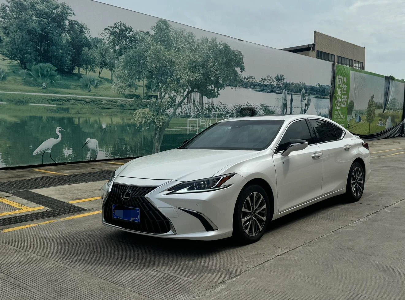 Lexus ES 300h F SPORT
