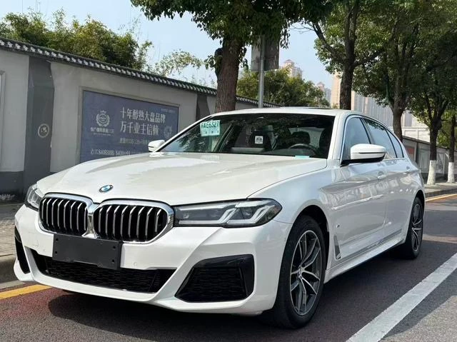 BMW 5 Series 5252Li Luxury Design Package