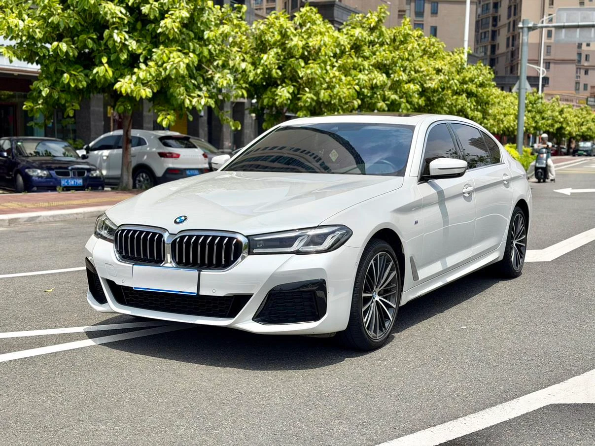 BMW 5 Series 530Li Leading M Sport
