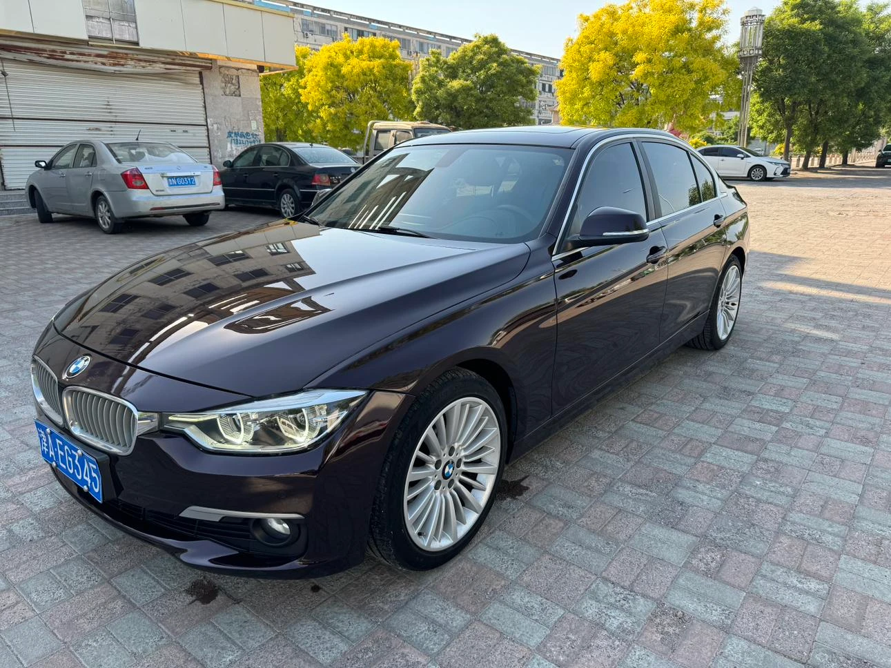 BMW 3 Series 320Li Luxury Line - exterior