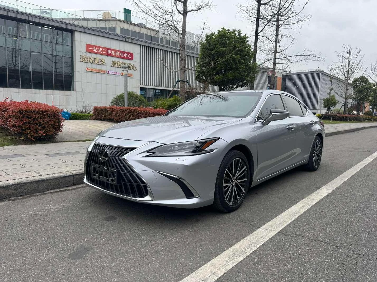 Lexus ES 300h Luxury Edition