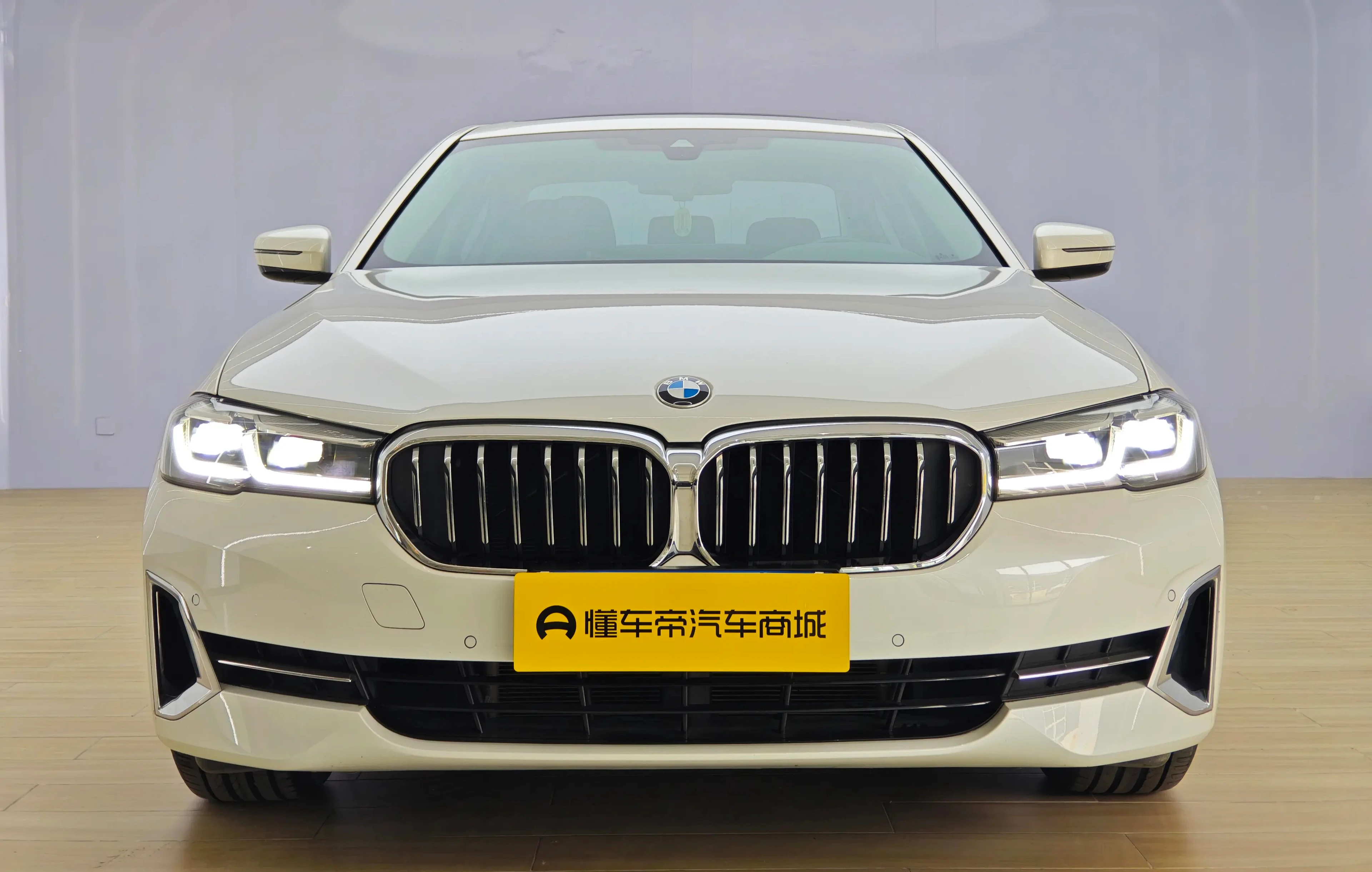 BMW 5 Series 530Li Leading Edition - exterior