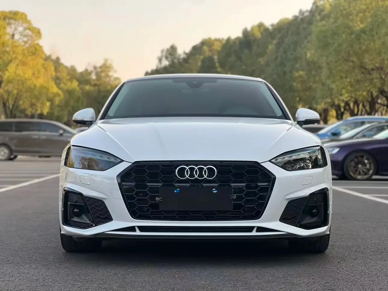 Audi A5 40 TFSI Fashion Dynamic Trim - exterior