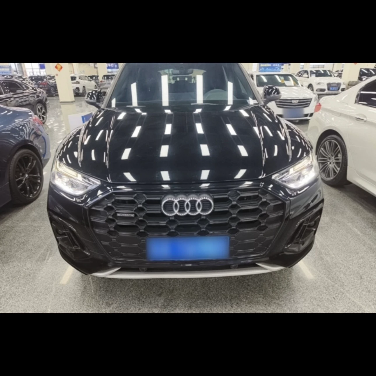 Audi Q5L 40 TFSI Luxury Dynamic - exterior