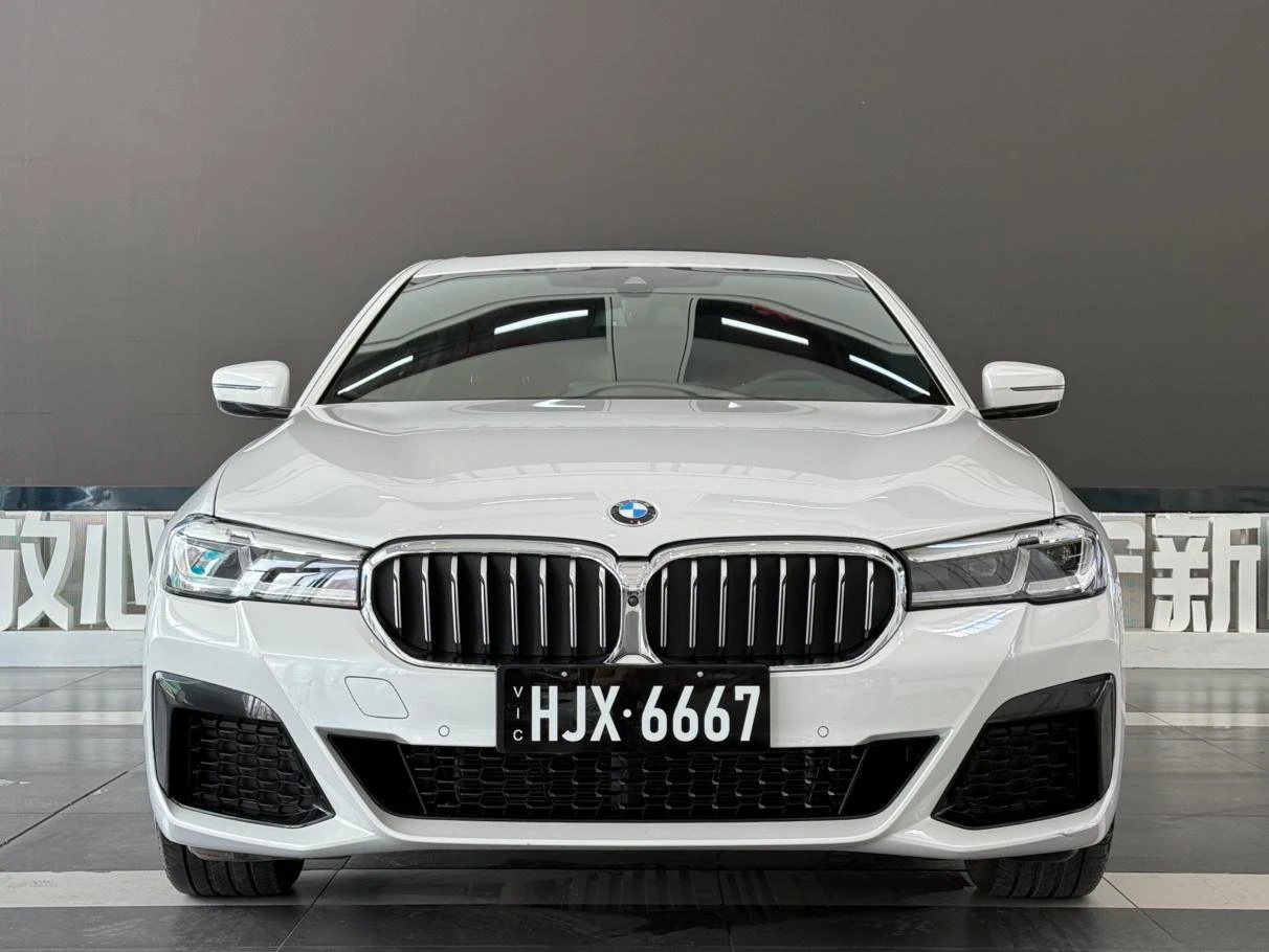 BMW 5 Series 530Li Luxury M Sport Package - exterior