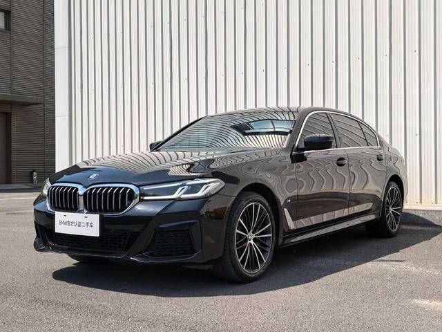 BMW 5 Series 530Li Leading