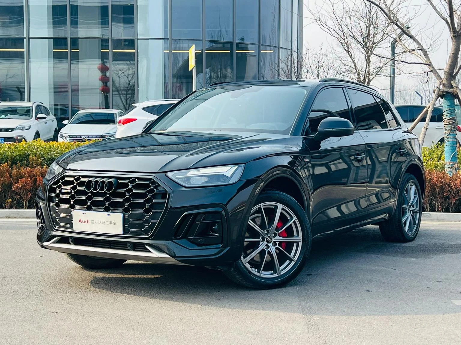 Audi Q5L 40 TFSI (Luxury Dynamic Trim)