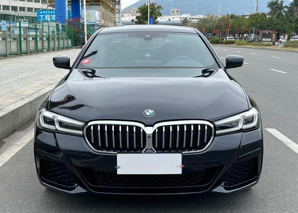 BMW 5 Series 530Li Executive M Sport Package - exterior