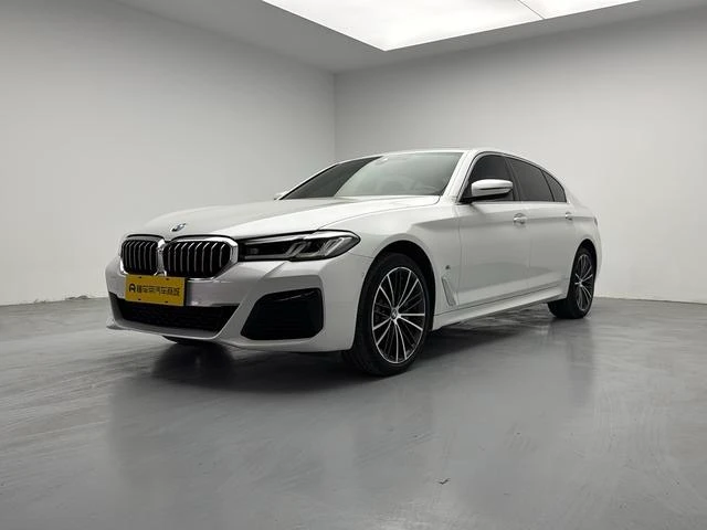BMW 5 Series 530Li Leading