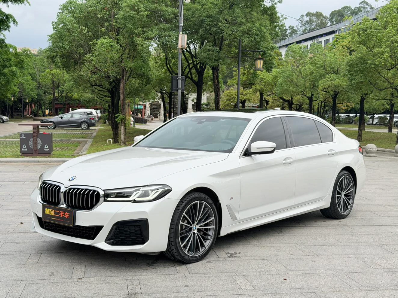 BMW 5 Series 530Li Leading M Sport Package