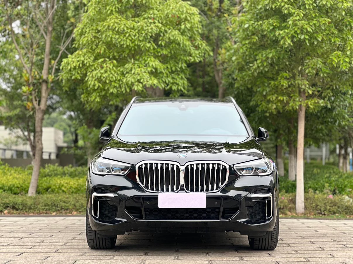 BMW X5 xDrive 40Li M Sport Package - exterior