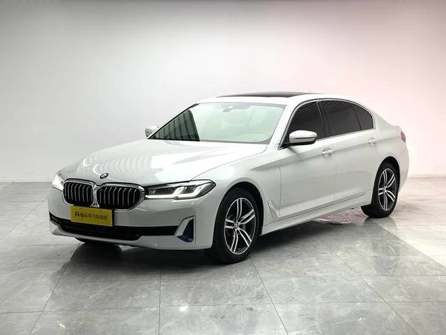 BMW 5 Series 530Li Leading