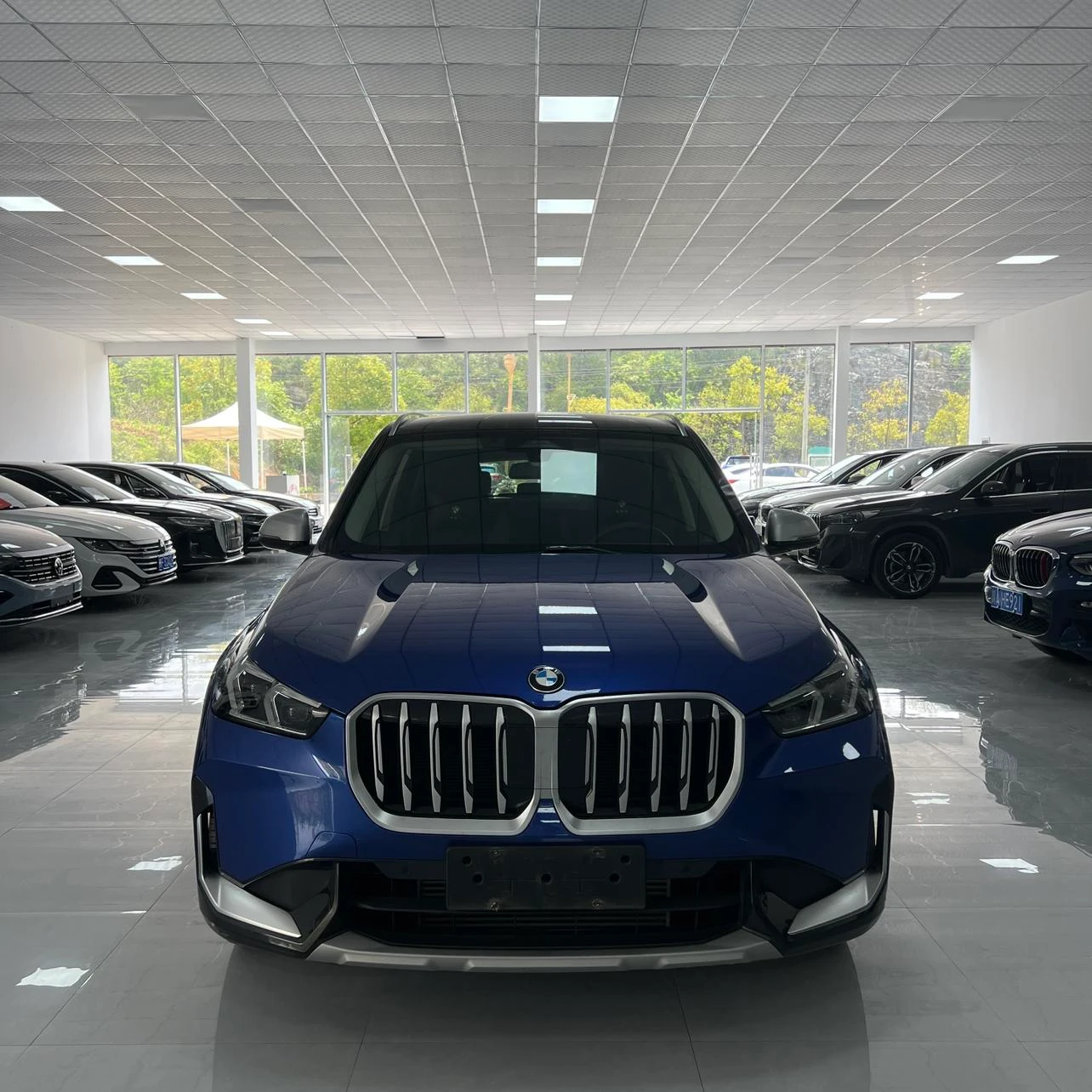 BMW X1 sDrive25Li X Design Package - exterior