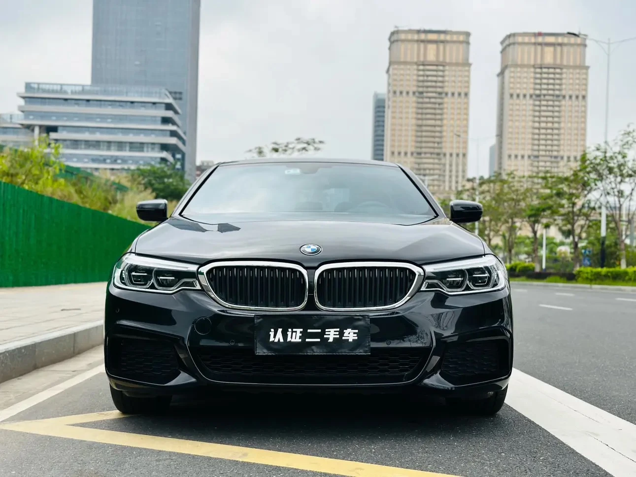 BMW 5 Series 530Li Leading Edition - exterior