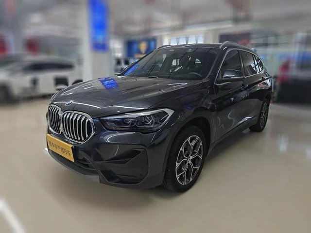 BMW X5 xDrive 25Li Leading
