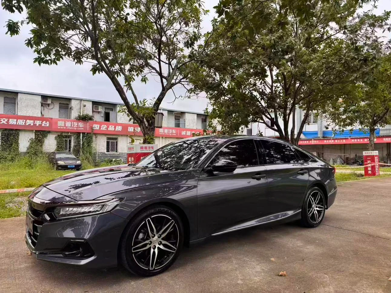 Honda Accord 260TURBO Night Premium Edition