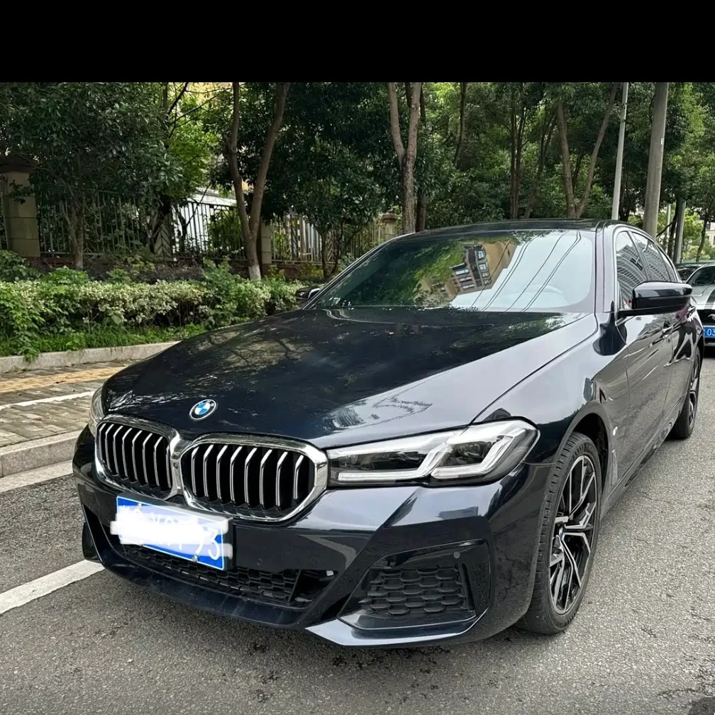 BMW 530L Leading