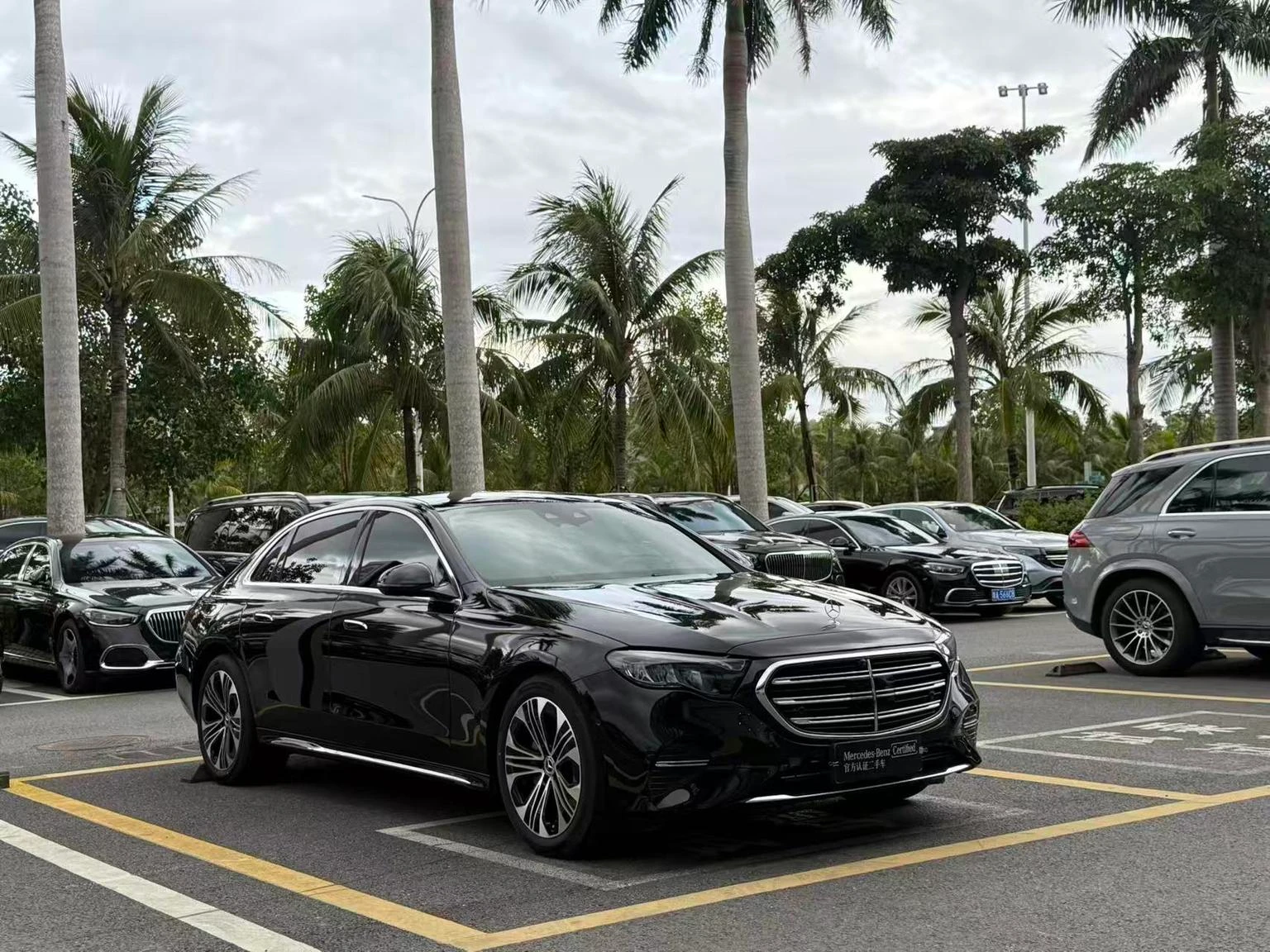 Mercedes-Benz E-Class E 300 L Luxury - exterior