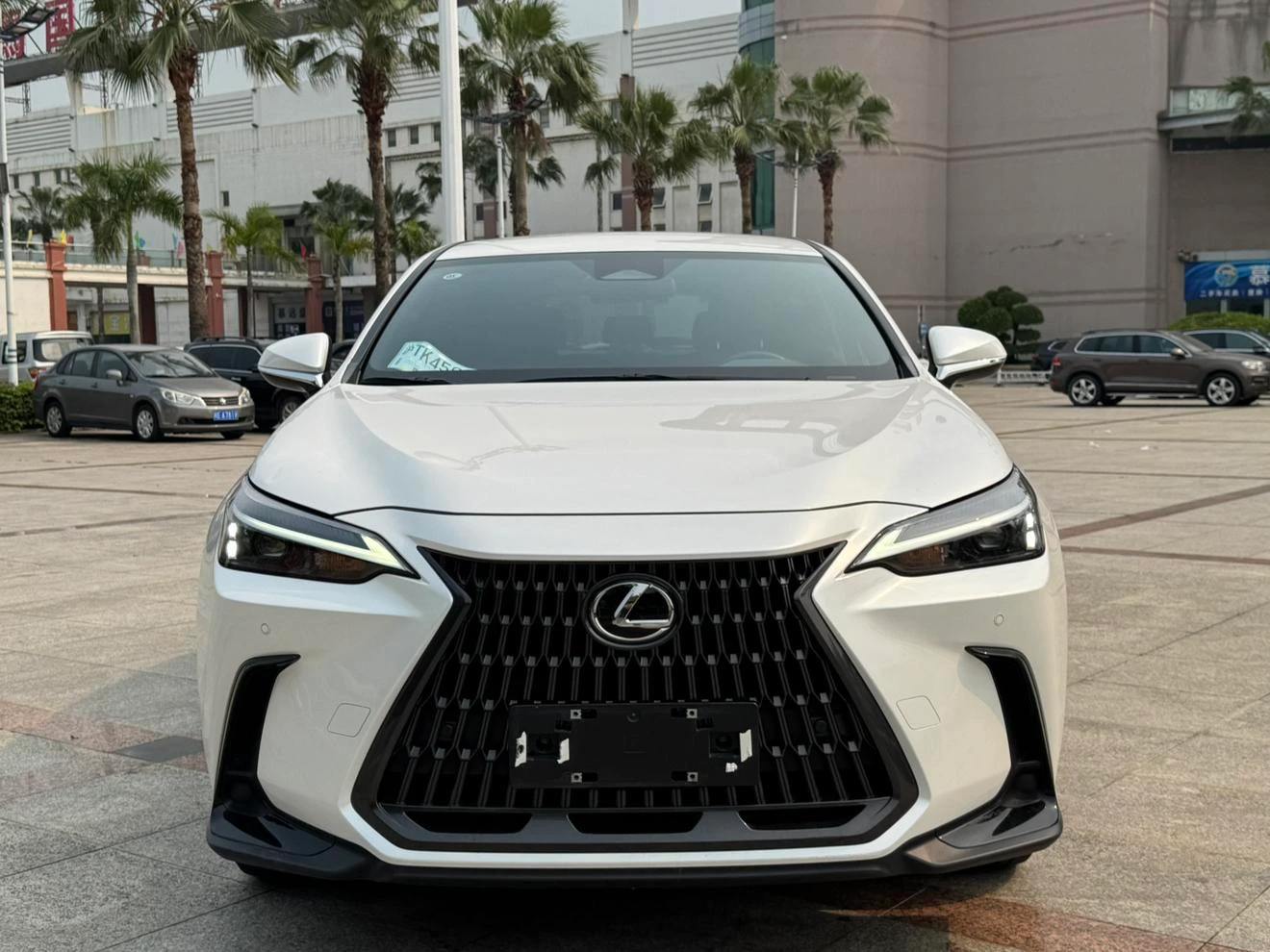 Lexus NX 260 Pioneer Edition - exterior