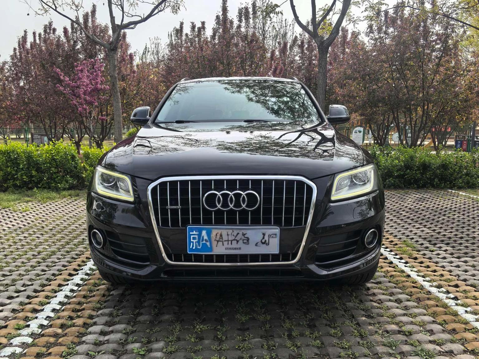 Audi Q5 40 TFSI Progressive