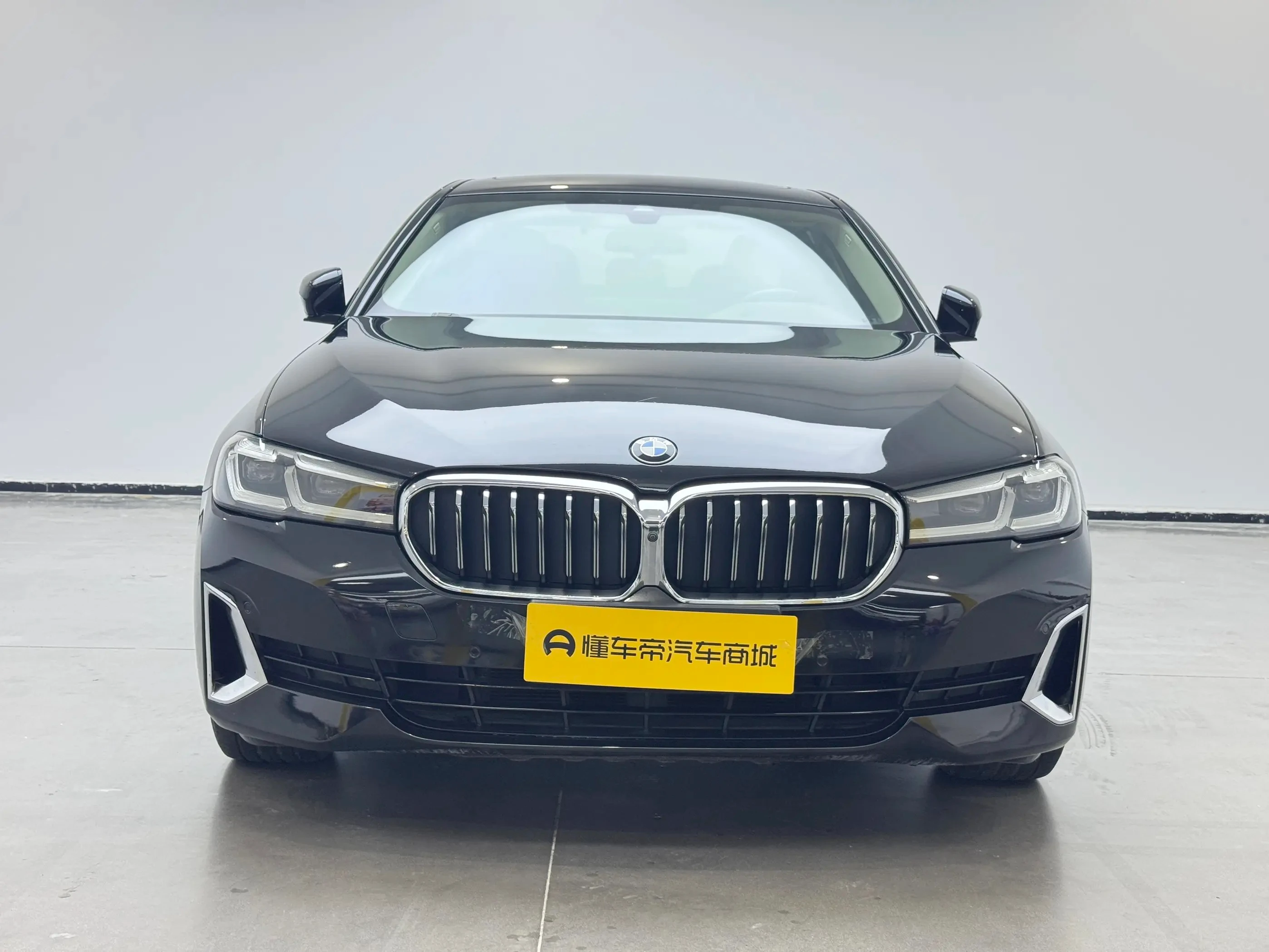 BMW 5 Series 530Li Luxury - exterior